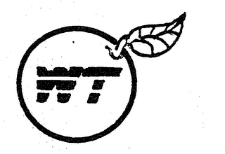 WT logo