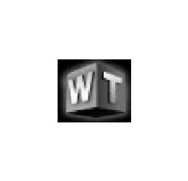 WT logo