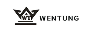 WT WENTUNG logo