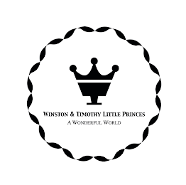 WT WINSTON & TIMOTHY LITTLE PRINCES A WONDERFUL WORLD logo