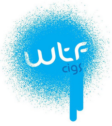 WTF CIGS logo