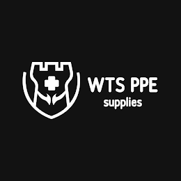 WTS PPE SUPPLIES logo