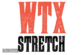 WTX STRETCH PIC STITCH logo