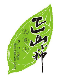 WU YI SHAN ZHENG SHAN XIAO ZHONG logo