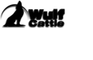 WULF CATTLE logo