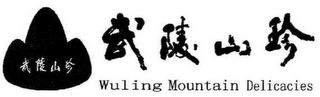 WULING MOUNTAIN DELICACIES
