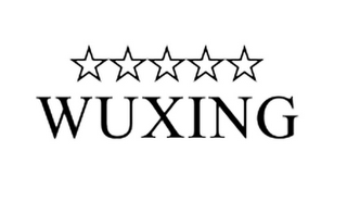 WUXING logo