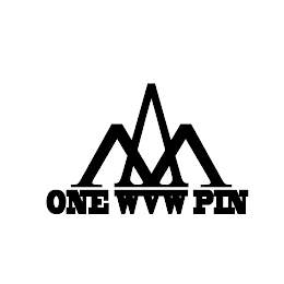 WV ONE WVW PIN logo