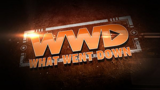 WWD WHAT WENT DOWN logo