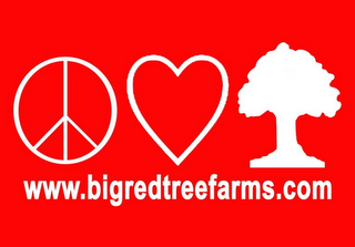 WWW.BIGREDTREEFARMS.COM logo