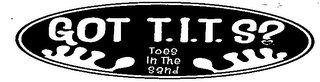 WWW.TENTOETEES.COM GOT T.I.T.S? TOES IN THE SAND logo