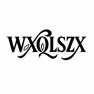 WXQLSZX logo