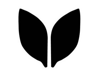 WY logo