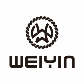 WY WEIYIN logo
