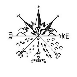 WYO VIKING logo