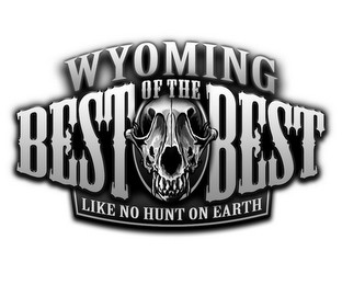 WYOMING BEST OF THE BEST LIKE NO HUNT ON EARTH logo