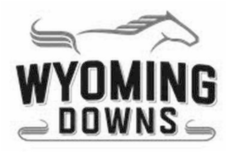 WYOMING DOWNS logo