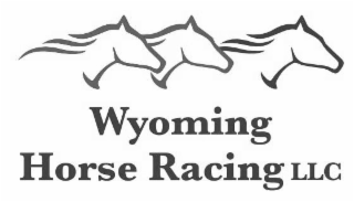 WYOMING HORSE RACING LLC logo