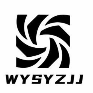 WYSYZJJ logo
