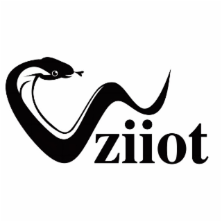 WZIIOT logo