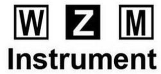 WZM INSTRUMENT
