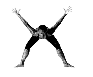 X logo