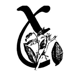 X logo