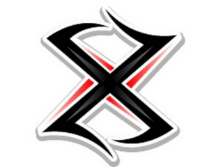 X logo