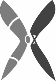 X logo