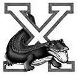 X logo