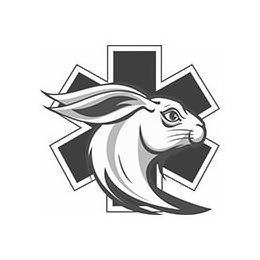 X logo