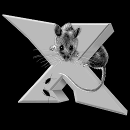 X logo