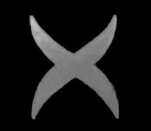 X logo