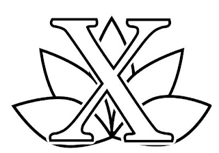 X logo