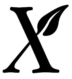 X logo