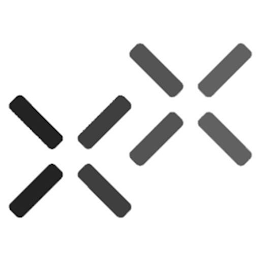 X˟ logo