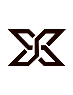 X logo