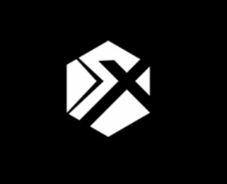 X logo