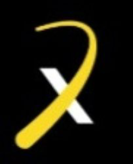 X logo