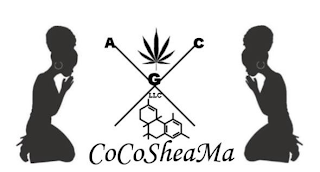 X A C G  LLC COCOSHEAMA logo