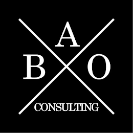 X BAO CONSULTING logo