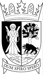 X DUM SPIRO SPERO logo