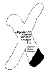 X EXPOSICIÓN CABERNET SAUVIGNON CHILE 2005 EXPERIENCE EXCITING EXPRESSION logo