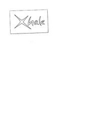 X-HALE logo