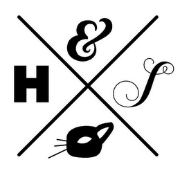 X H&S logo