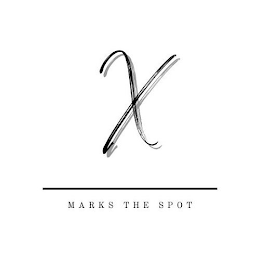 X MARKS THE SPOT logo