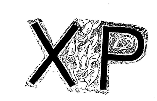 X P logo