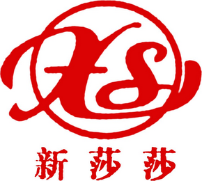 X S logo