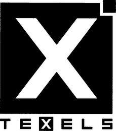 X TEXELS logo