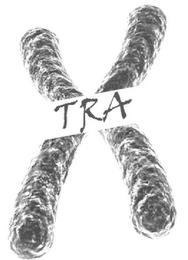 X TRA logo